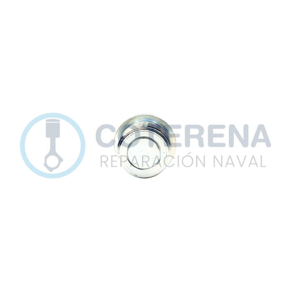 3 50 | Coterena Shop